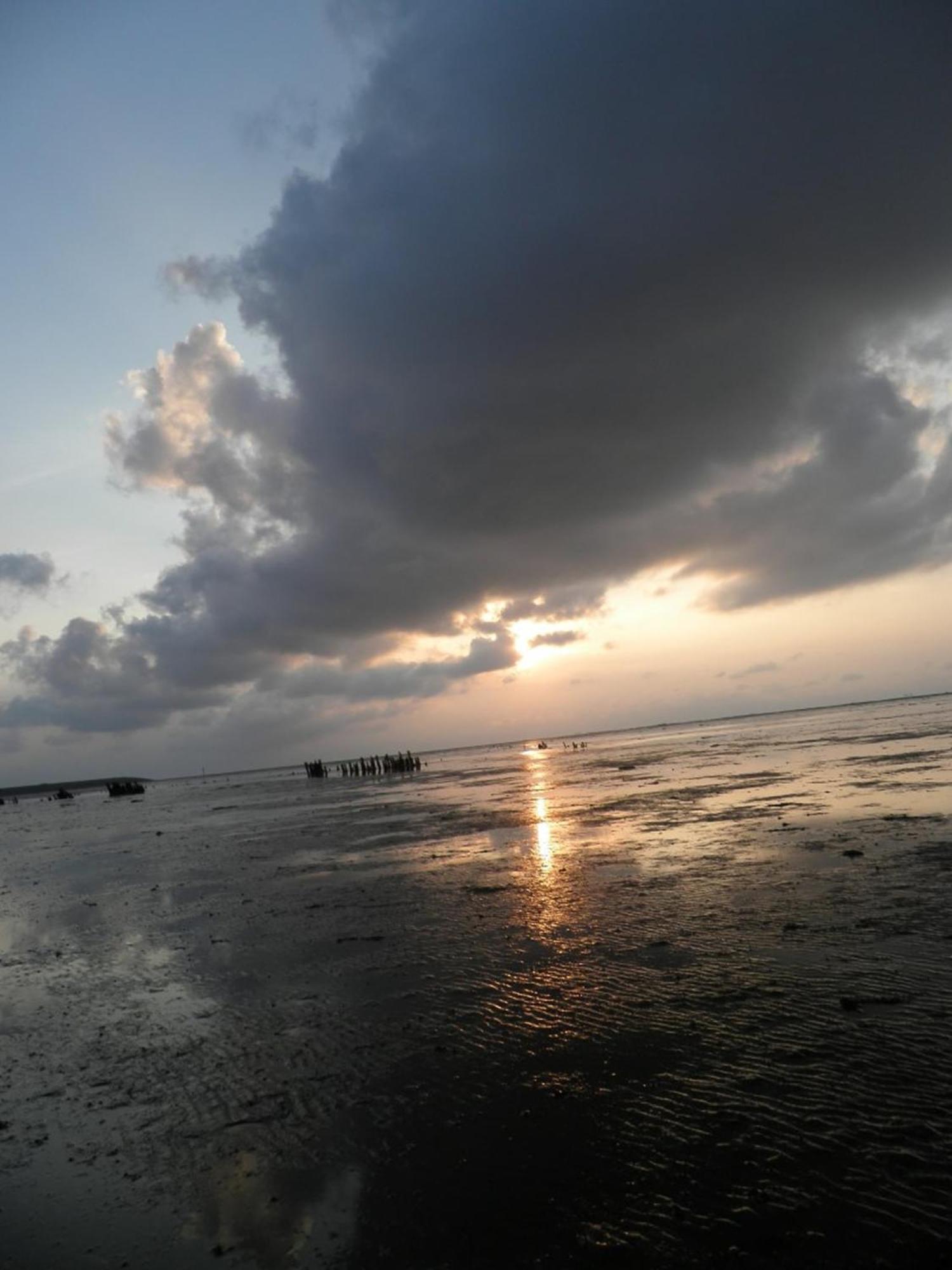 8 Pers House 'Capitein Theis' With Seaside In Front Of The Lauwersmeer Anjum Dış mekan fotoğraf