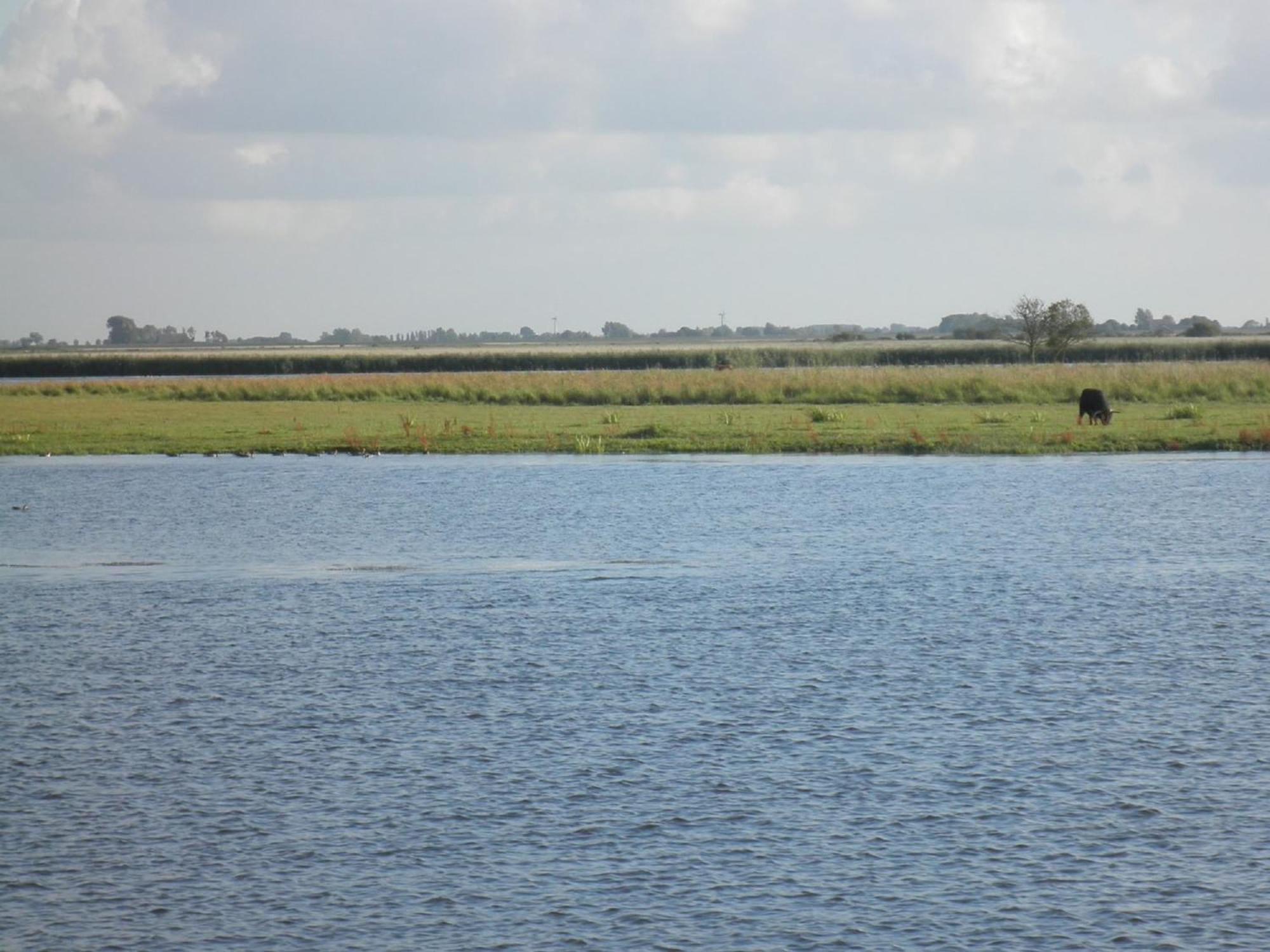 8 Pers House 'Capitein Theis' With Seaside In Front Of The Lauwersmeer Anjum Dış mekan fotoğraf